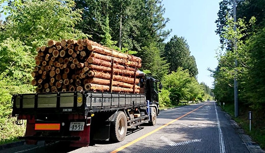 木材の運搬作業